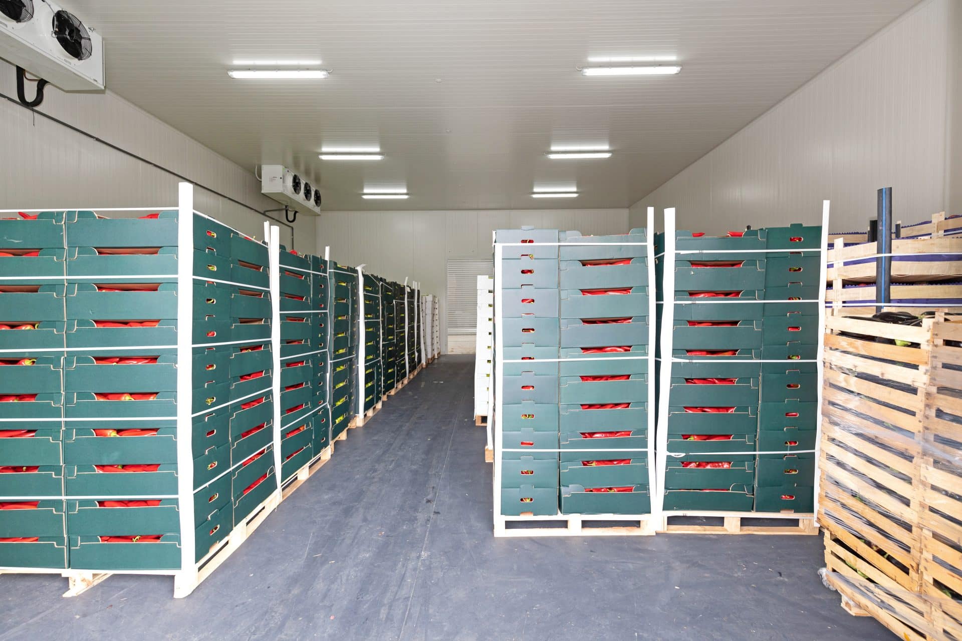 Cold Storage Warehousing